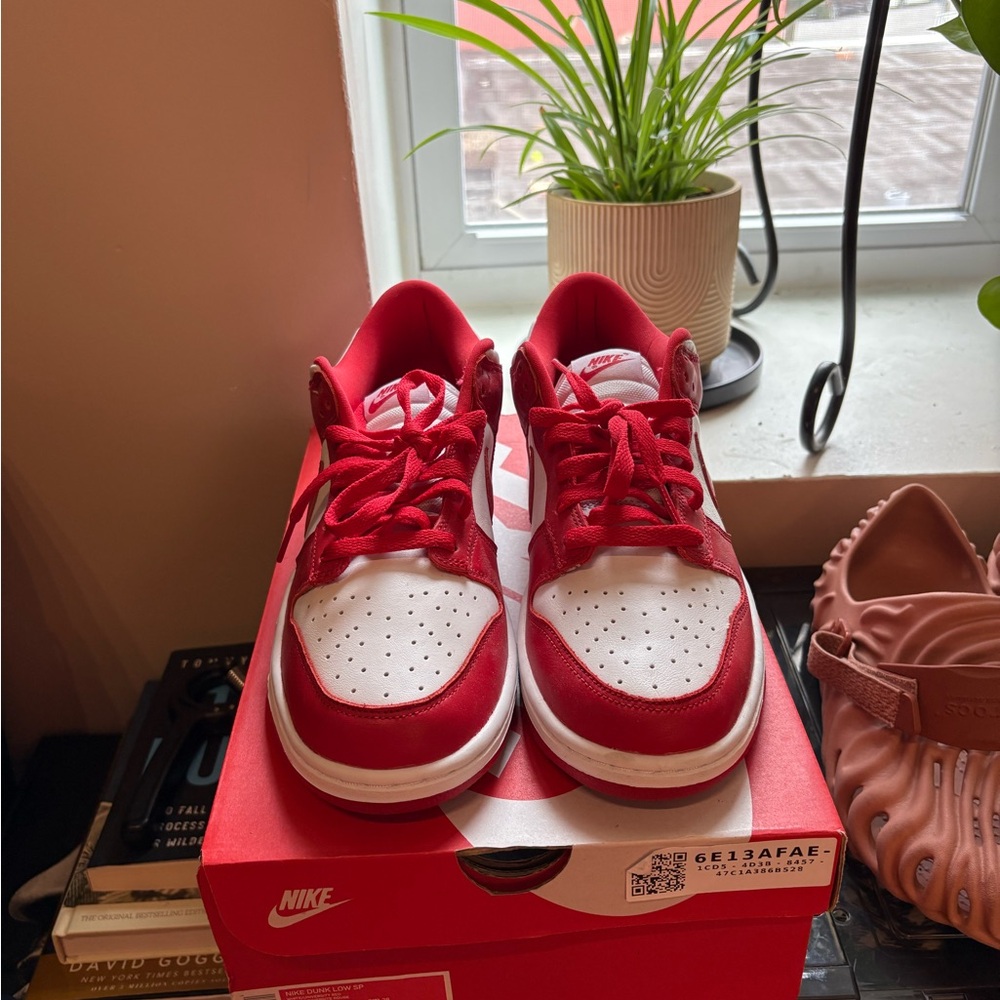 Nike Dunks  Red and White Sneakers
